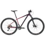 DEVILS TRAIL 29 22 18 PURPLE PASSION MY22.JPG